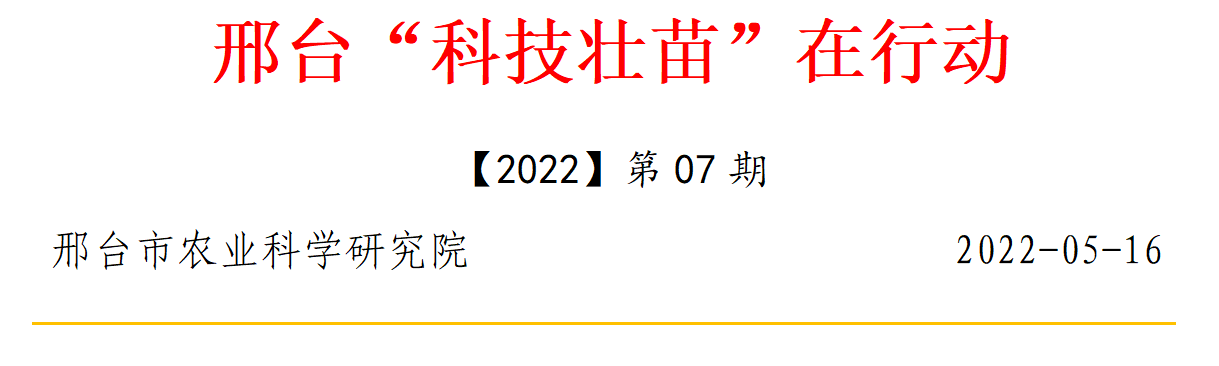 Snipaste_2022-05-19_08-57-01.png